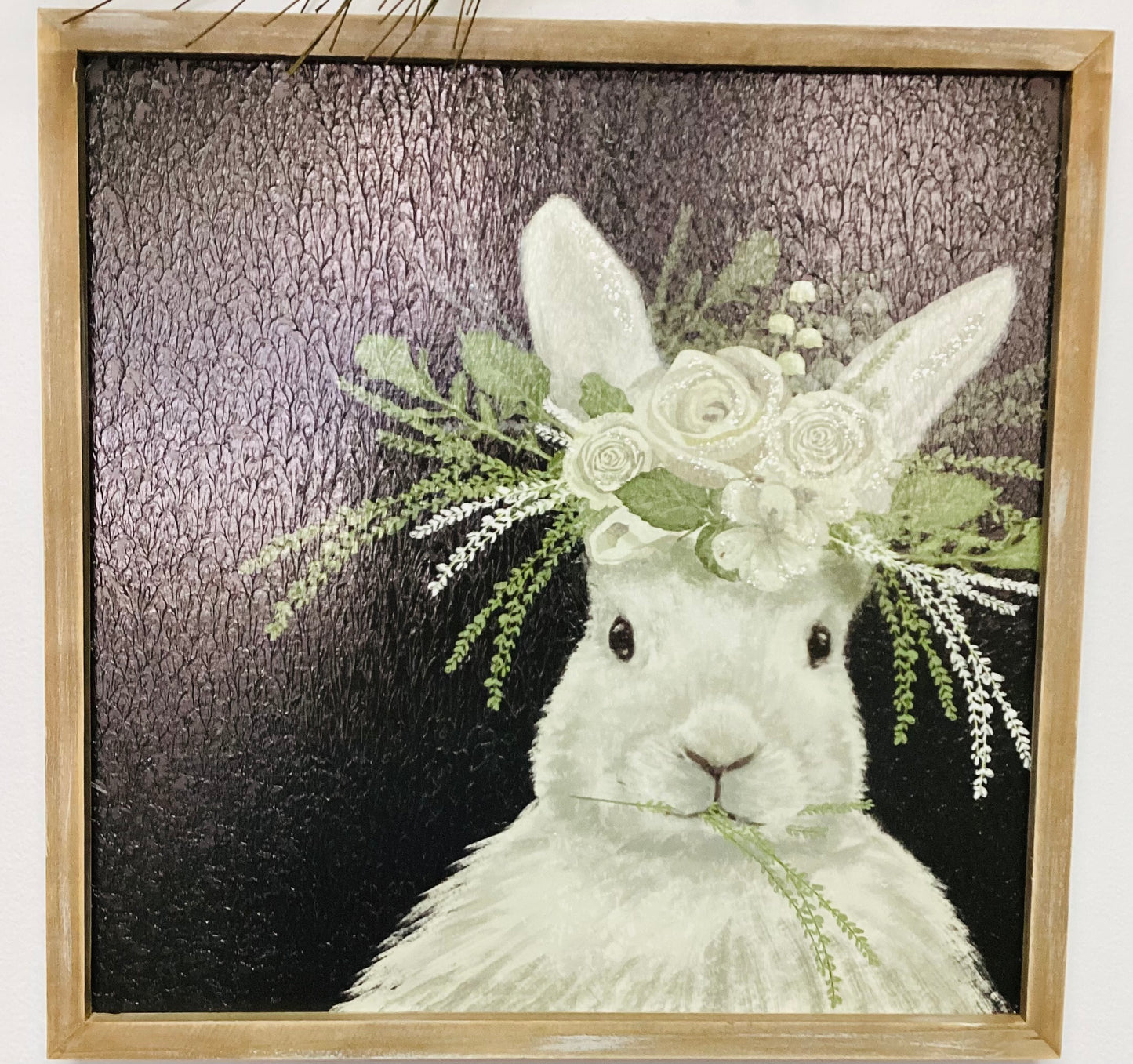 Rabbit picture