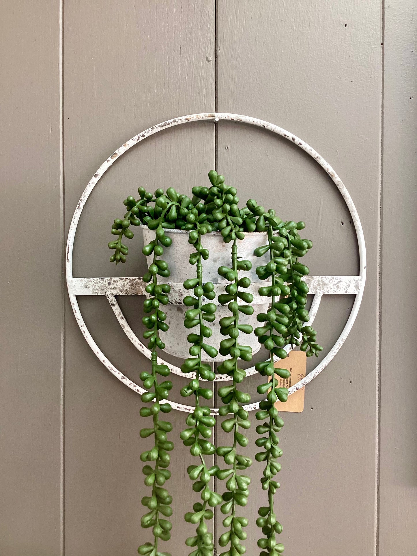 Vintage Plant Hanger