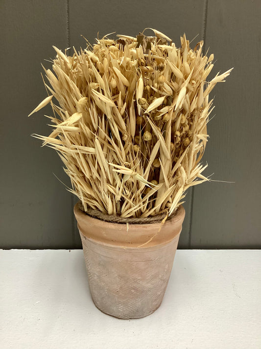 Natural Avana Grass in terracotta